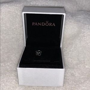 Pandora bracelet charm